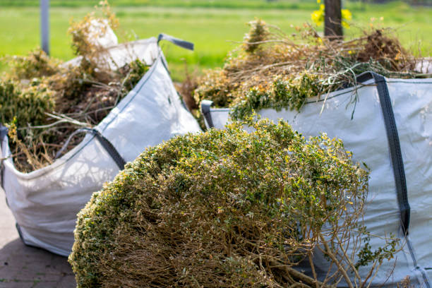 Trusted East Jordan, MI Junk Removal Services Experts